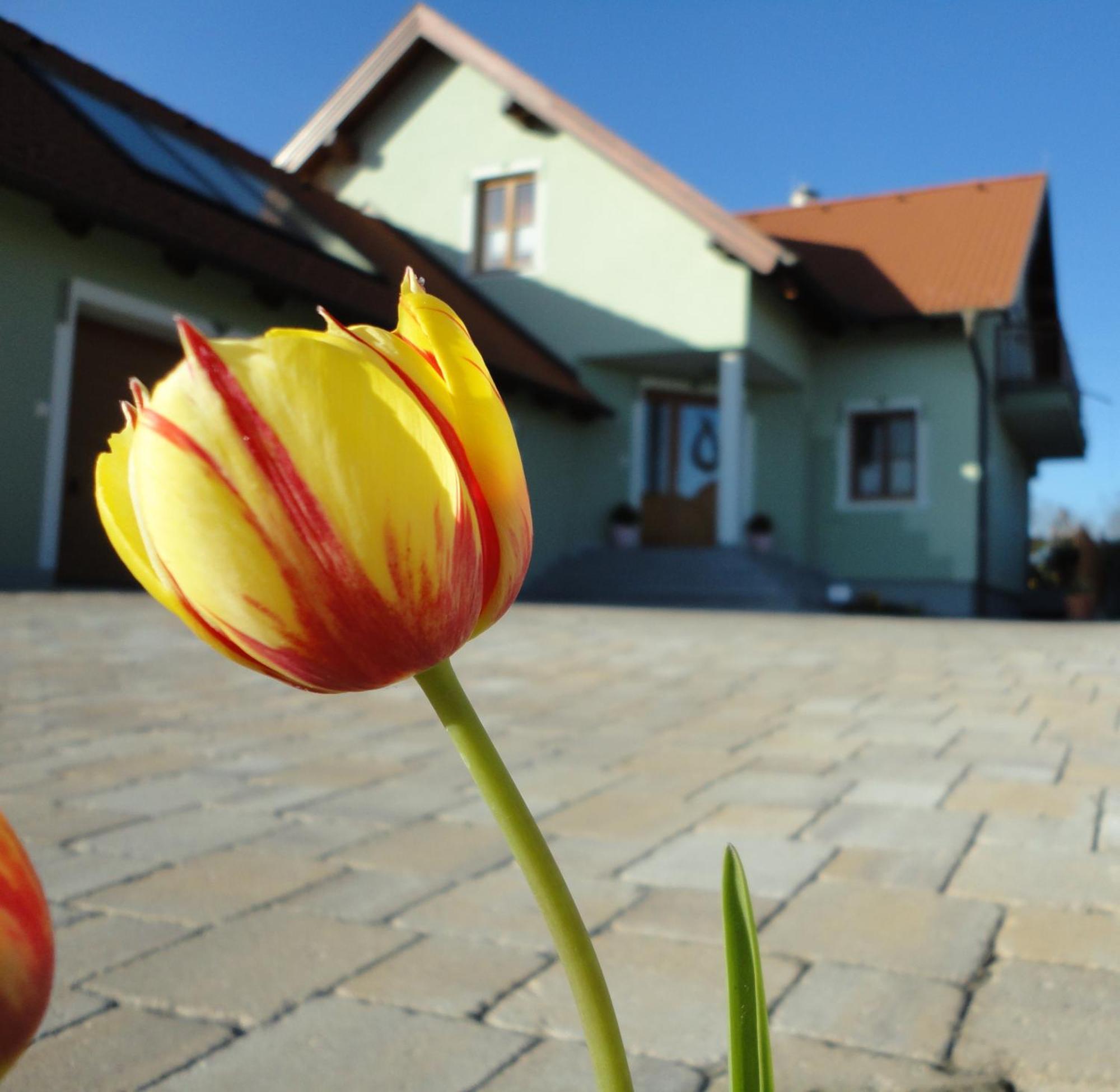 Gaestezimmer Rieder Staatz Екстер'єр фото